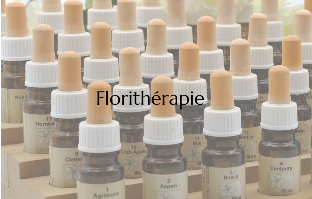 lien prestations en florithérapie